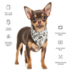 Chihuahua bandana